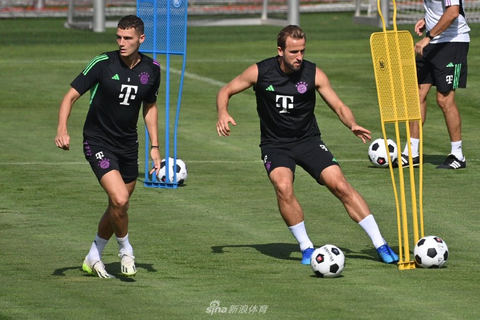 供了很好的 供了很好的